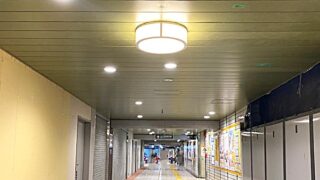 駒沢大学